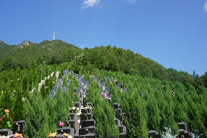 骨灰可以见阳光吗（骨灰的运送）